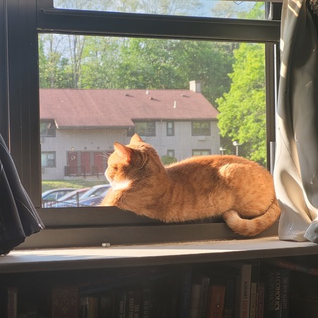 Leeloo