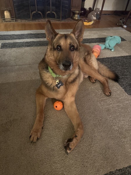 Duke