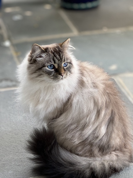 Lena