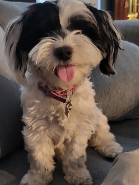 Sally