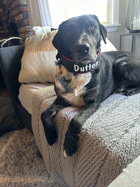 Dutton