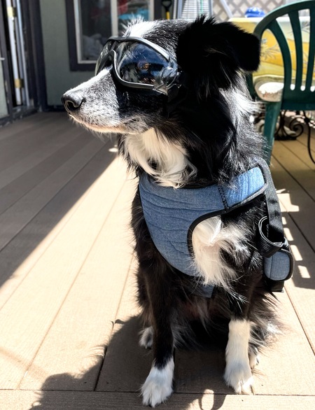 Blind Cybèle