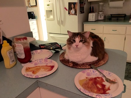 Karma in the Kitchen