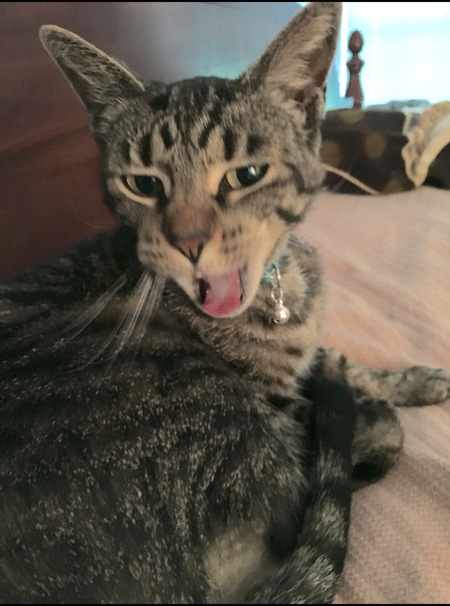 Maggie 