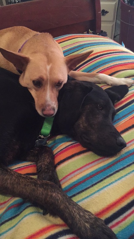 Toby and Feya 