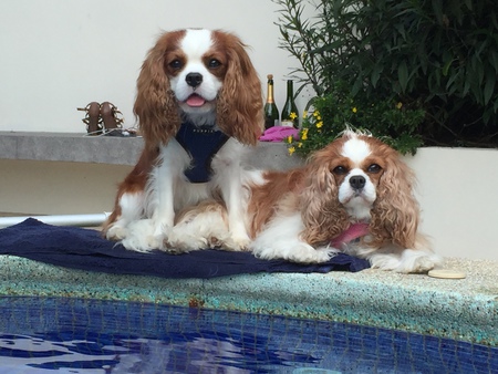 Gatsby and Charlotte York