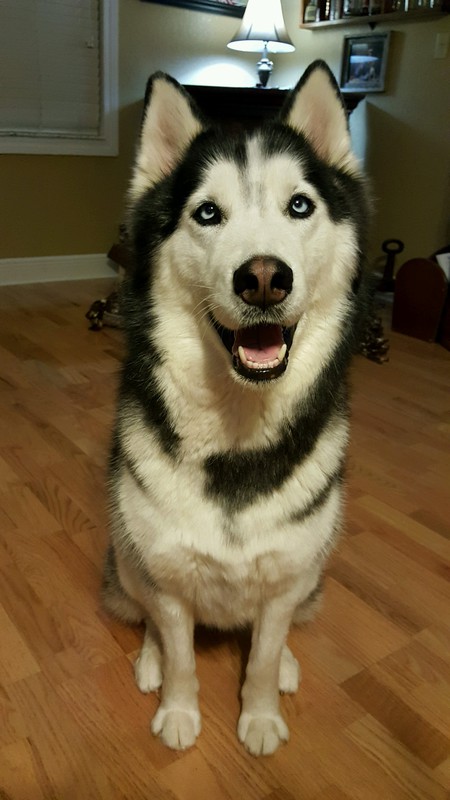 Juno