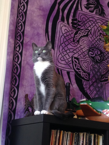 Bijou
