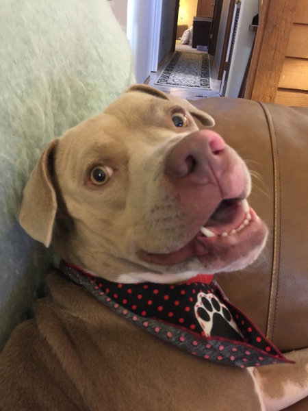 Yoda