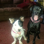 Dani and Abbey