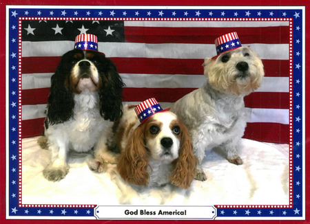 Lucky, Macallan, and Piper