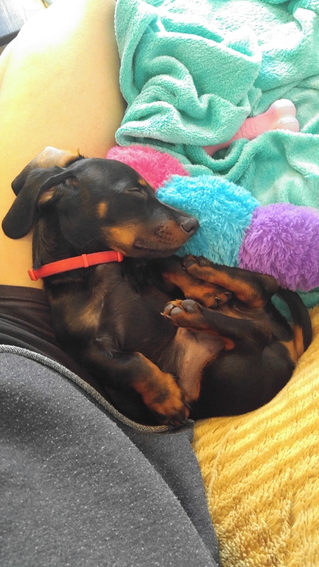 Toby 