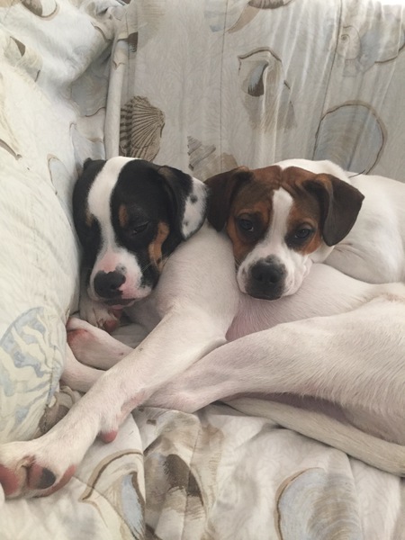 Smith&Charly