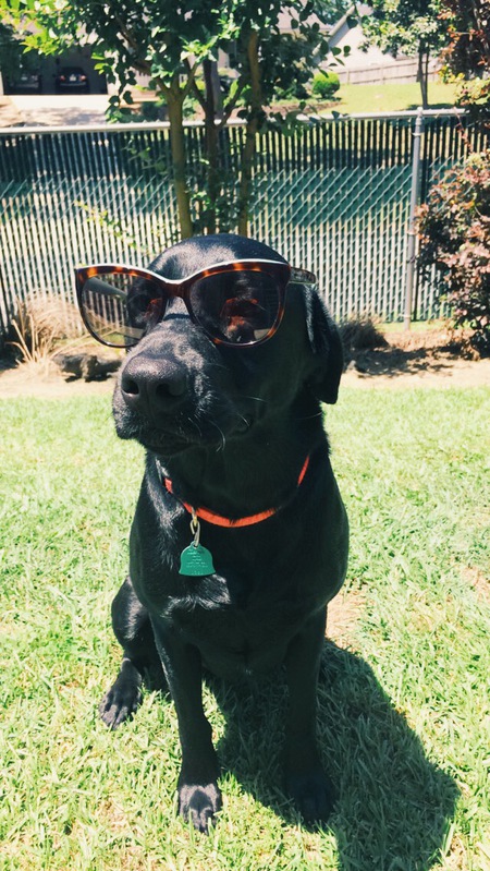 Molly