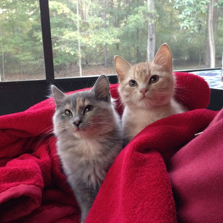Misty & Cyrus