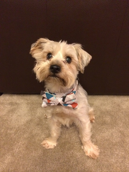 Max