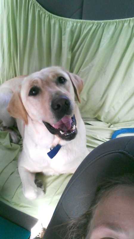 Daisy