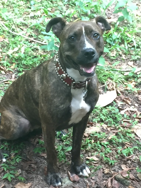 Lola