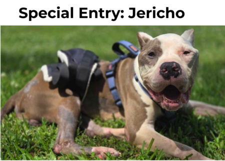 Jericho: Special Entry, can't win the contest but can win a page