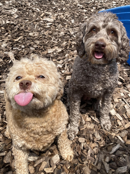 Barbie & Teddie
