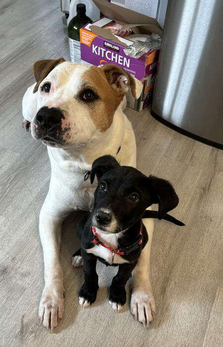 Ellie and Frankie