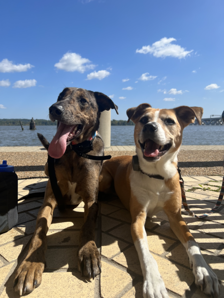 Penelope & Troy