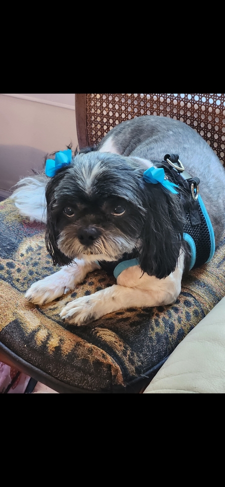 Bugsy