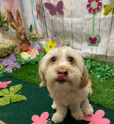 Winnie