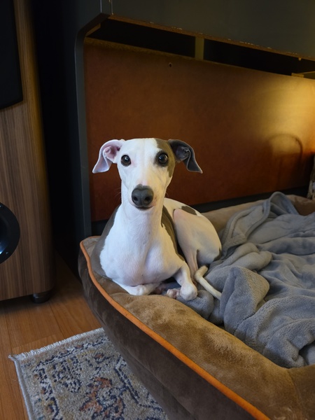 Benny
