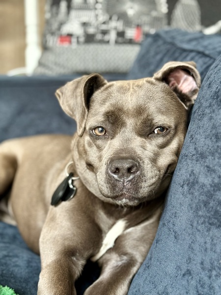 Luna