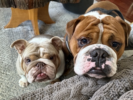 Winnie & Teddy