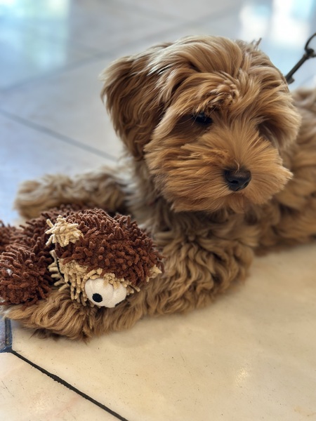 Ellie
