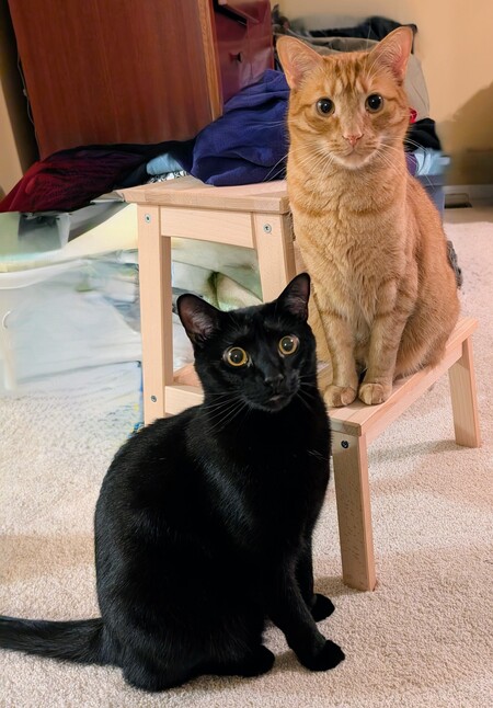 Dublin and Oshie