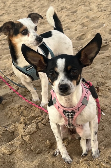 Giacomo Poochini & Mimi Violetta