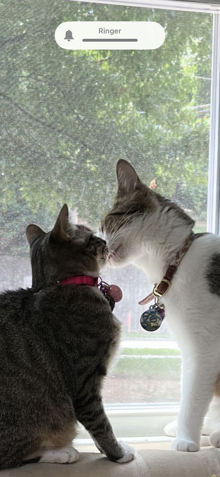Oliver & Solterra
