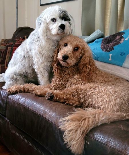 Siri & Bree