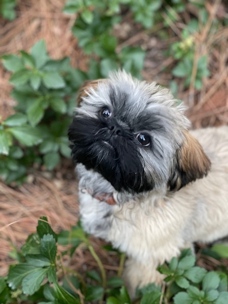 Fred