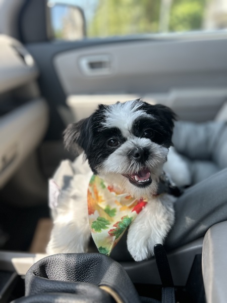 Ellie