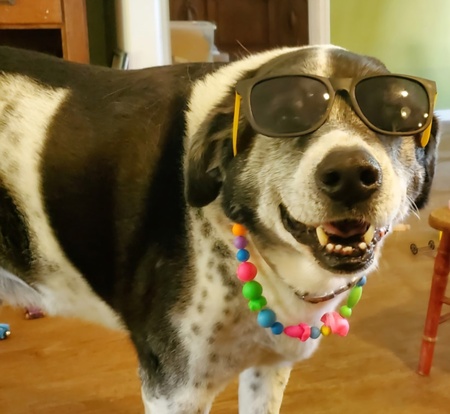 Otis