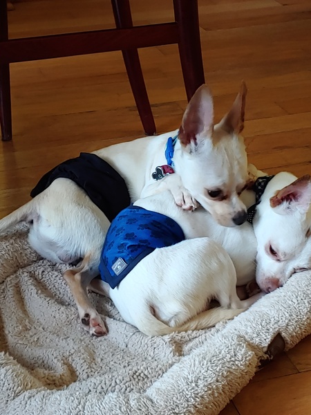 Charlie and Fletcher