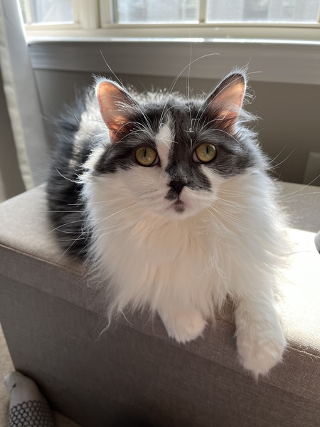 Mia 
