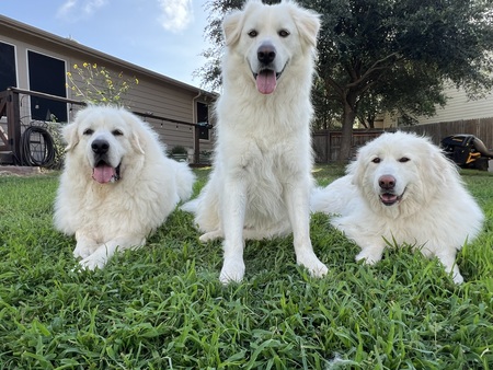 Hank, Waylon and Willie