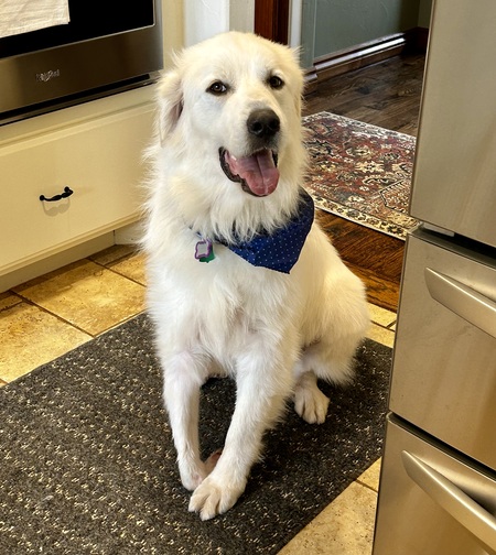 Sam