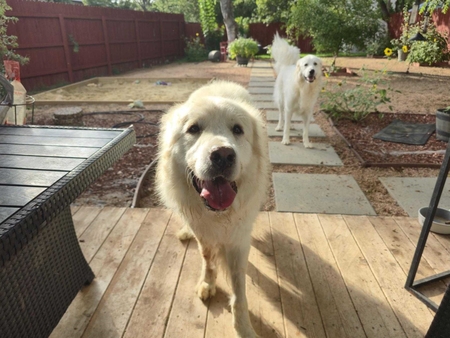 Jimmy Van Halen and Luna