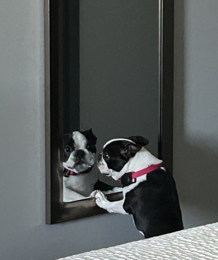 Lulu