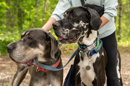 Archie and Darby