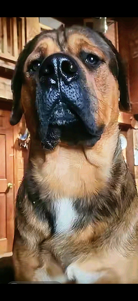 Benjamin 