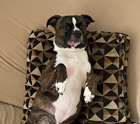 Luka