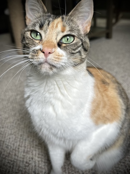 Maggie