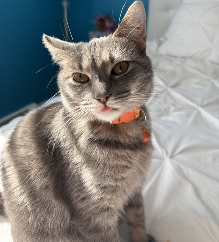 Lily (a.k.a Lil Darlin')